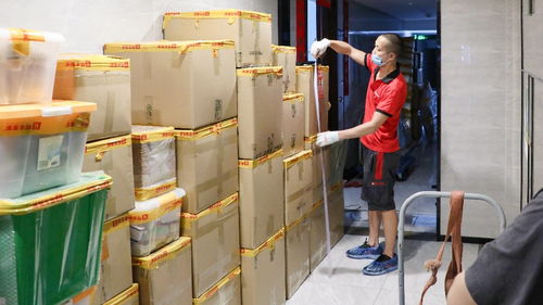 一个人租房 在自由与孤单的边缘，学会与自己和外界相处