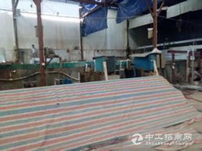 一站式配齐 狮山900方带牌氧化厂以循环生态重塑供应链价值堡垒